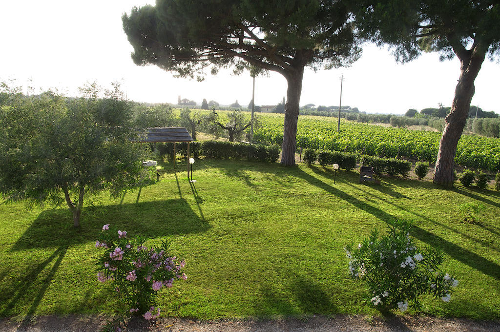 Agriturismo Quattro Pini Castagneto Carducci Bilik gambar